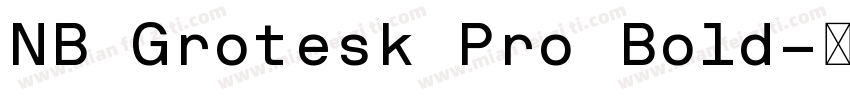 NB Grotesk Pro Bold字体转换